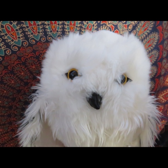 Hedwig plush - Picture 2 of 4
